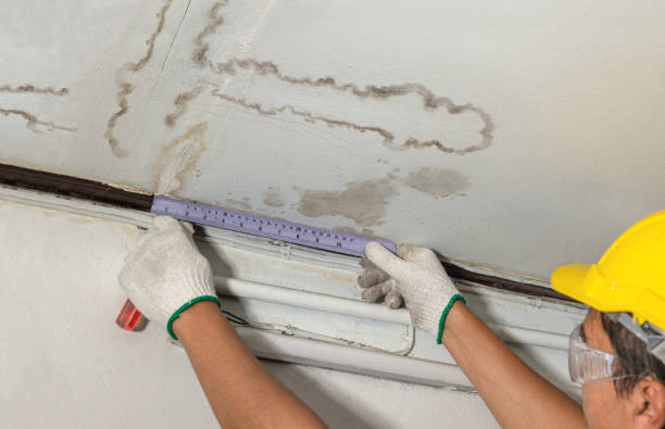 Reliable Structural Drying And Dehumidification contractor in Red Mountain, CA by Aqua Guard Water Damage